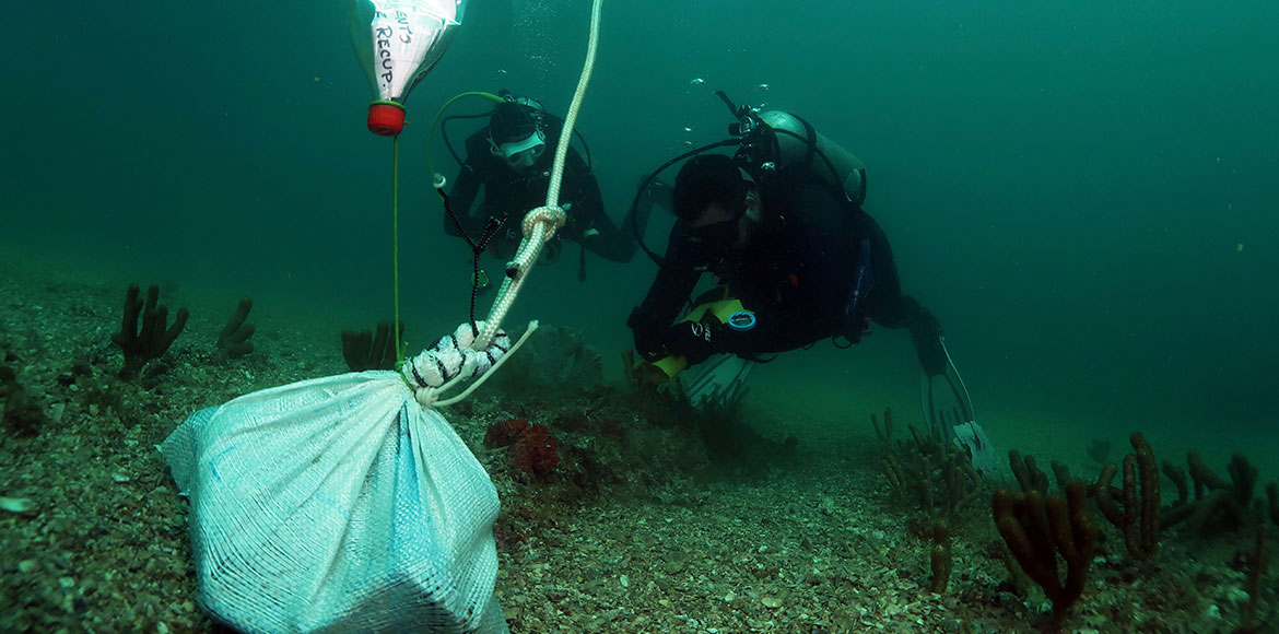 Mergulho de busca e recuperação