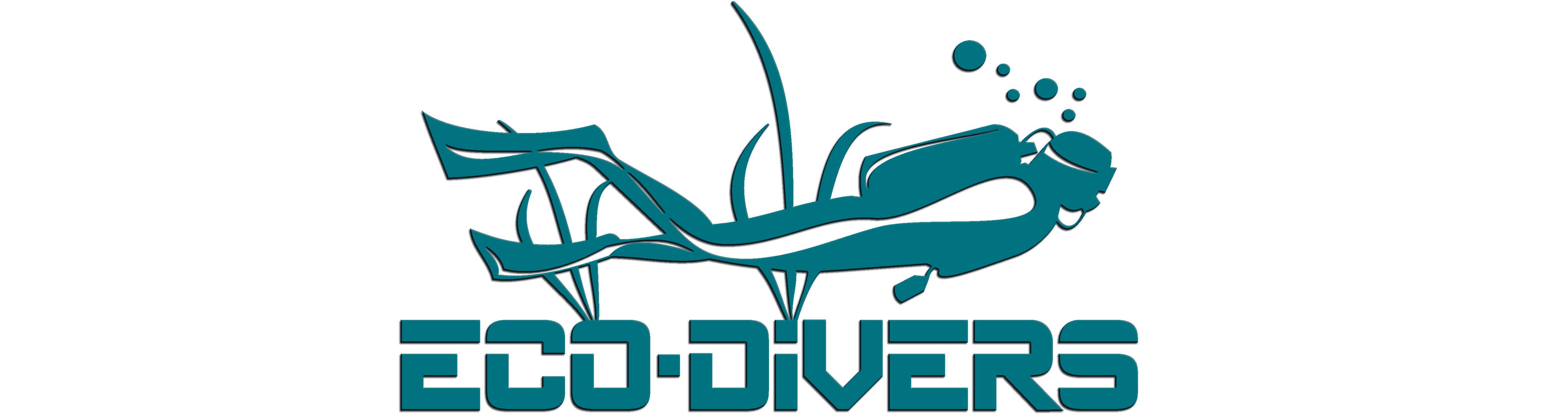 Logo Ecodivers
