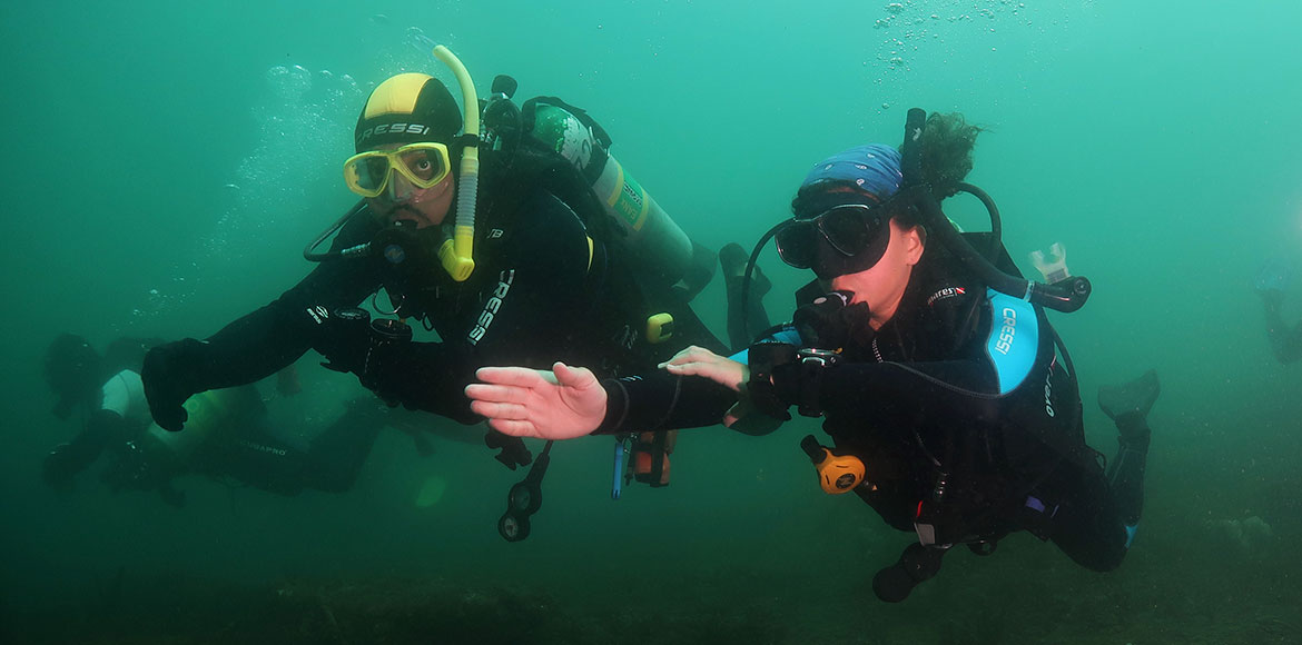 Navegação navegacao