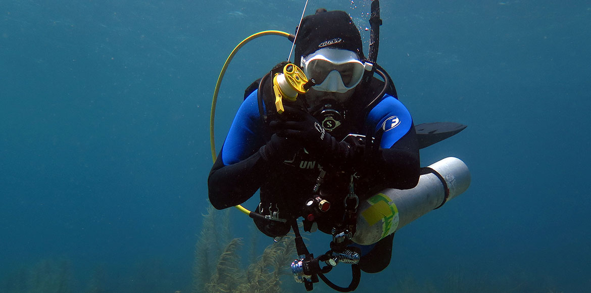 Self-reliant (autossuficiência)